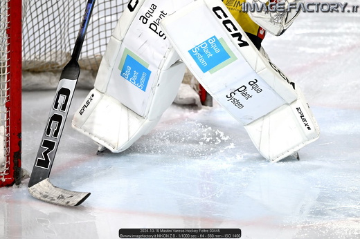 2024-10-19 Mastini Varese-Hockey Feltre 03445